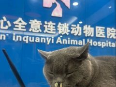 -纳吉亚猫专科动物诊疗中心(蒋宅口分院)