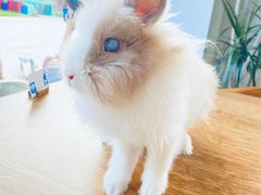 -小意思咖啡店(草桥店)