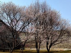 -北京明城墙遗址公园