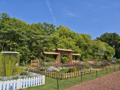 -上海共青森林公园