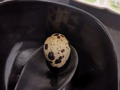-胖胖粉砂锅(龙湖·花千树店)