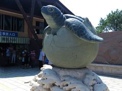 -广东惠东海龟国家级自然保护区