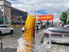 -布达拉宫