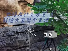 -盛泰恐龙谷温泉