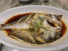 -老山东·山东菜(鲁菜名店)