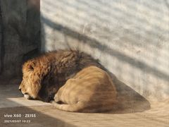 -石家庄市动物园