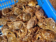 -靓靓蒸虾·头牌蒸虾(南山桂庙店)