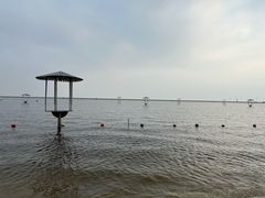 -碧海金沙
