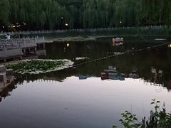 -文瀛公园