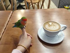 -OZ cafe(南昌路店)