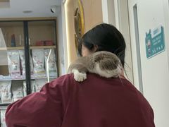 -瑞派康怡24h宠物医院·犬猫医疗中心·微创绝育(瑞景分院)