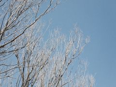 -野鸭湖国家湿地公园