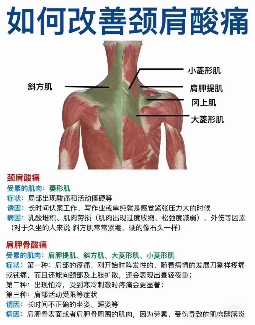 肩胛提肌劳损自我疗法图片