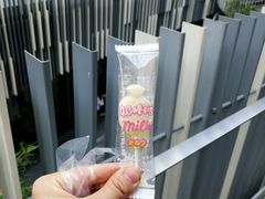 -九秋茶铺(三里屯店)