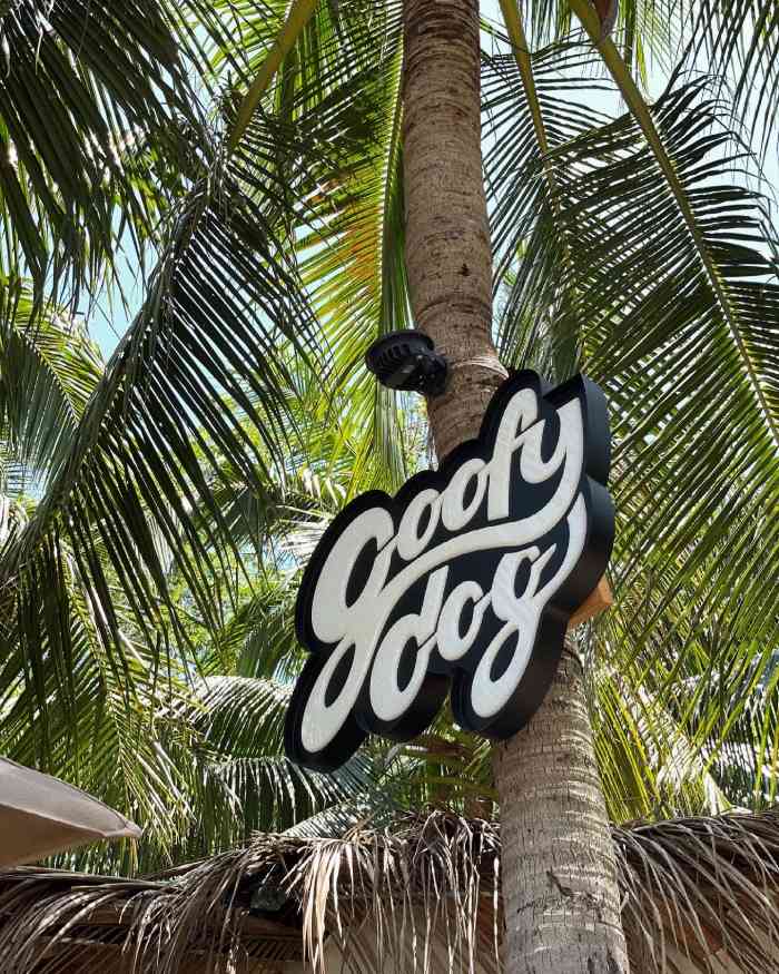 goofydog cafe & brunch-"「冰拿铁」味道不错,可以点赞9199 .