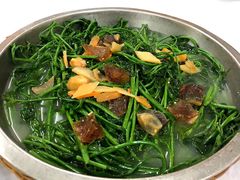 护肝菜-台山第一家兴华黄鳝饭·黄鳝婆(彭沙坑总店)