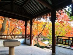 -秋霞圃