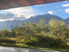 -林芝工布庄园希尔顿酒店-猎味中餐厅