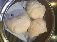 -糖朝(尖沙咀店)