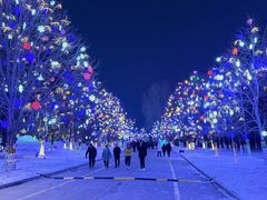 -长春世界雕塑园冰雪艺术天地