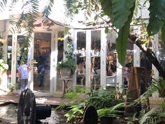 -Fern Forest Cafe