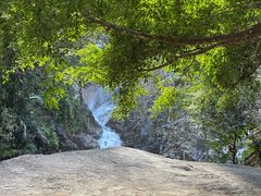 -海南霸王岭国家森林公园