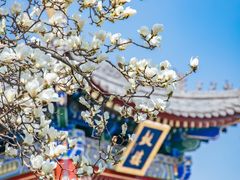 -西安市广仁寺