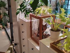 -一尺花园(安和花园店)