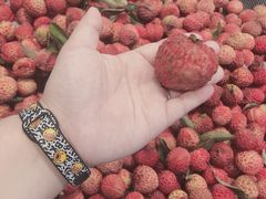 -果蔬好生活超市(乐堤港店)