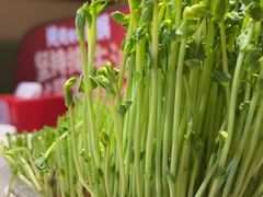 -海底捞火锅(龙湖时代天街店)