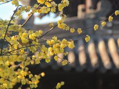 -钱王祠