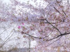 -堤角公园
