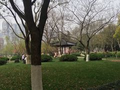 -堤角公园