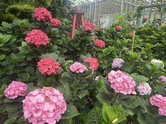 -凤来栖·净庭院·火锅(欧尚店)