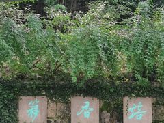 -中国茶叶博物馆(双峰馆区)