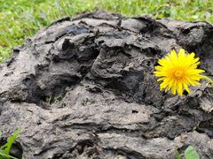 -硗碛藏寨·神木垒景区