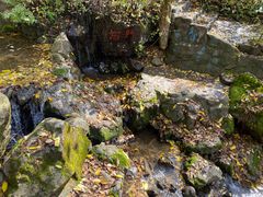 -天女山森林公园