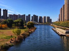 -长白岛森林公园