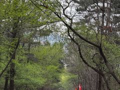 -棋盘山风景区