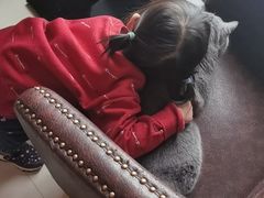 -猫咪咖啡店(新城大街店)