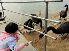 -艾溪湖湿地公园