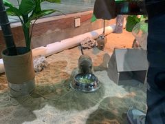 -顺德南宏海立方海洋公园