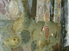 android_upload_pic-安吉龙王山峡谷漂流