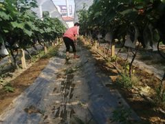 -麦园农庄·西江河鲜