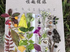 -金堂县云顶石城风景区