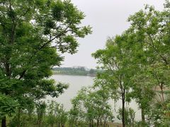-东郊湿地公园