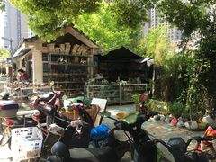 -合肥市裕丰花鸟虫鱼市场-F区