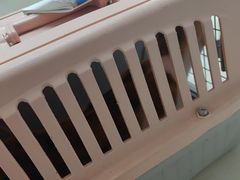 -宠颐生宠物医院·骨外科·犬猫全科诊疗中心(池州店)