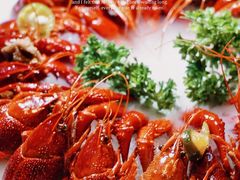 -沪小胖小龙虾(淮海中路旗舰店)