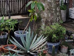 -梵几(东信·和创园店)